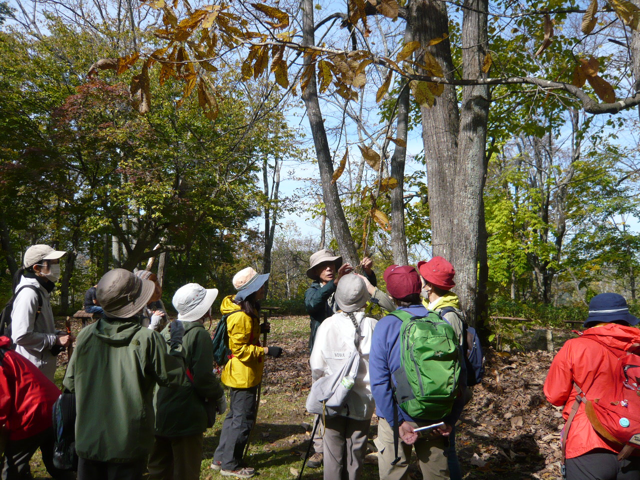 北邦野草園観察会　晩秋の野草・紅葉観察と散策