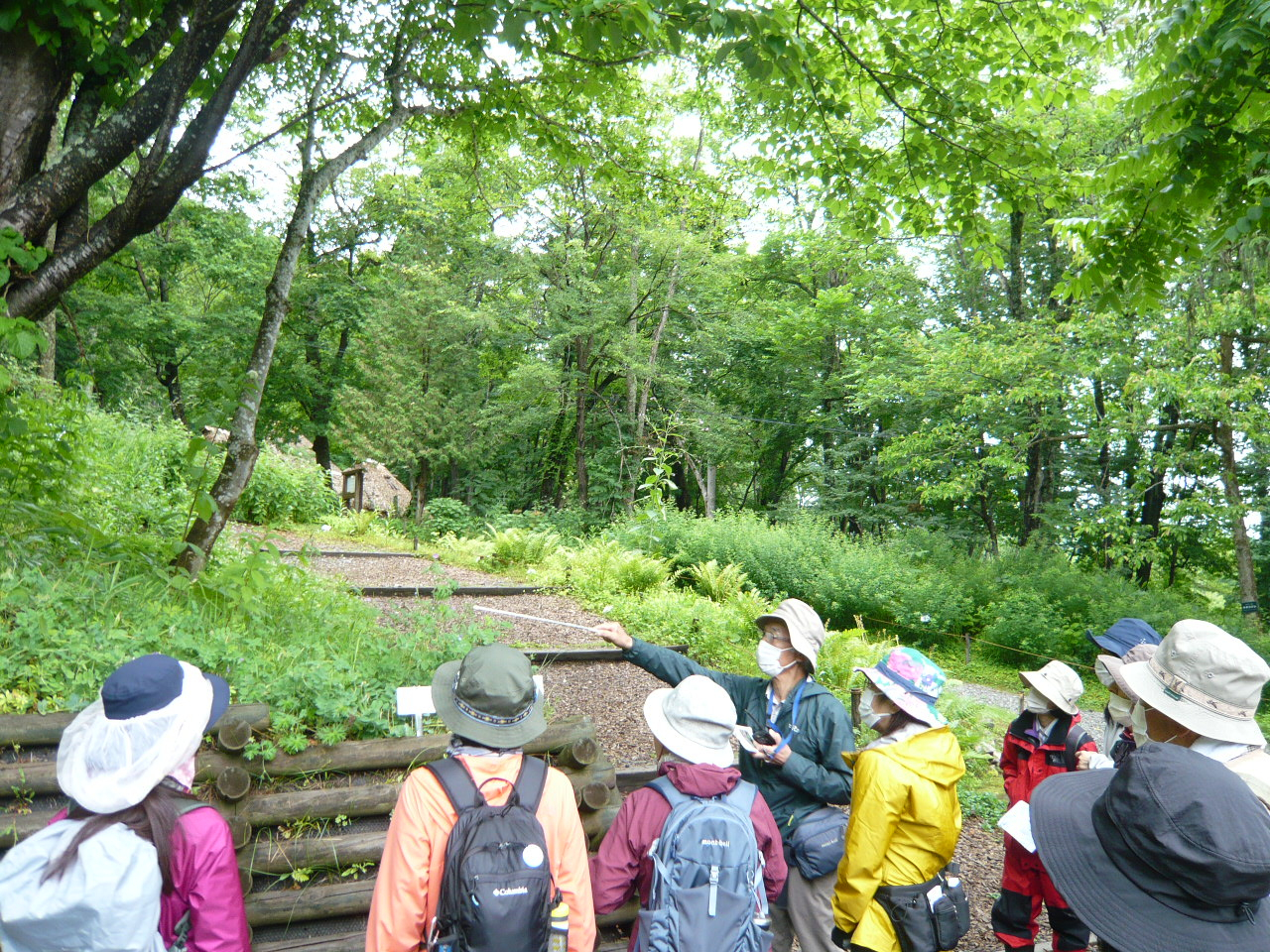 夏の野草観察と散策20240629
