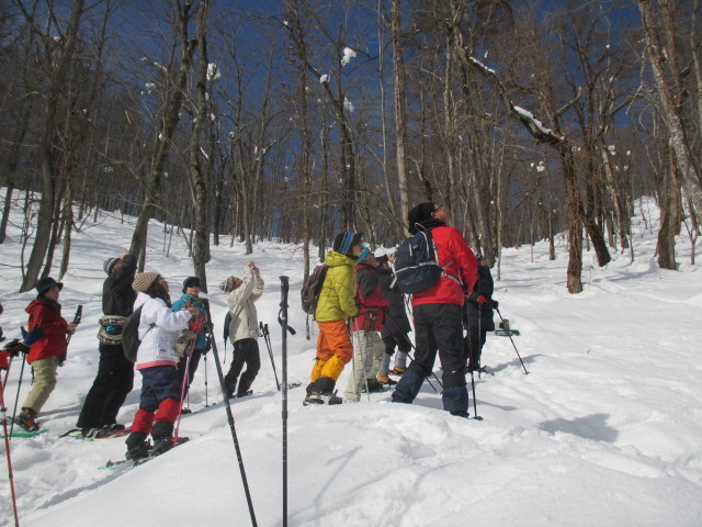 北邦野草園観察会　雪の嵐山散策
