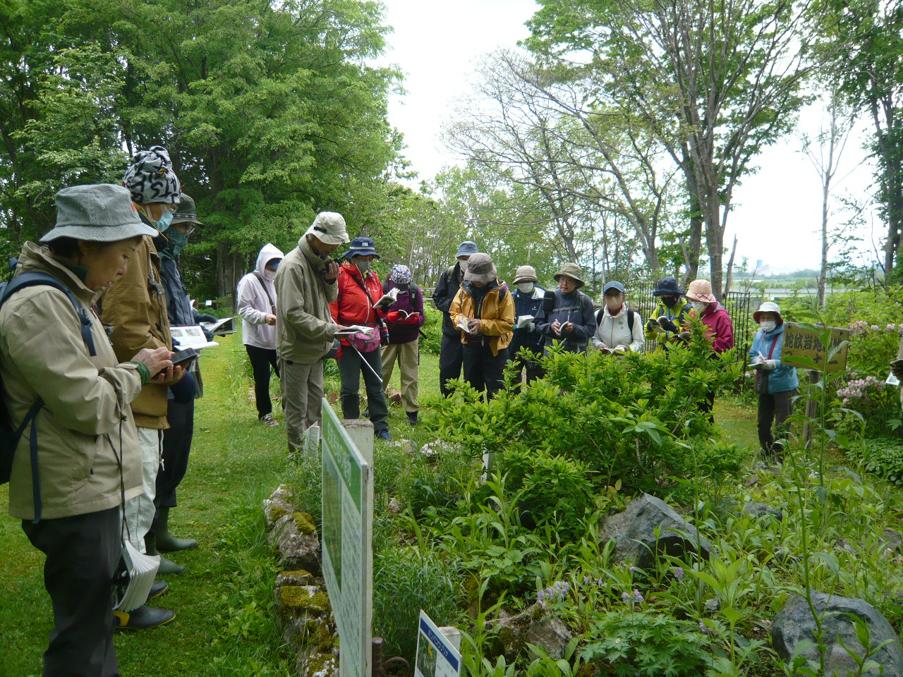春の野草観察と散策20240525